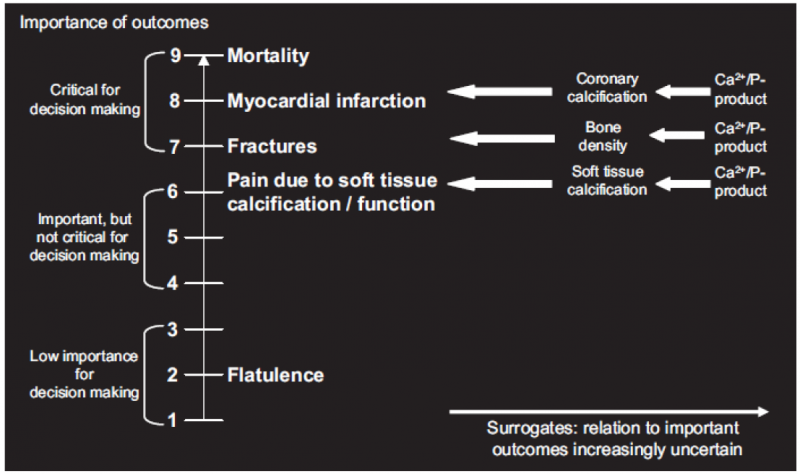 Hierarchy of outcomes according to their importance to assess the effect of phosphate-lowering drugs in patients with renal failure and hyperphosphatemia